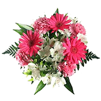(OC) Best Cherished Arrangements 2 For Delivery to Troy, New_York