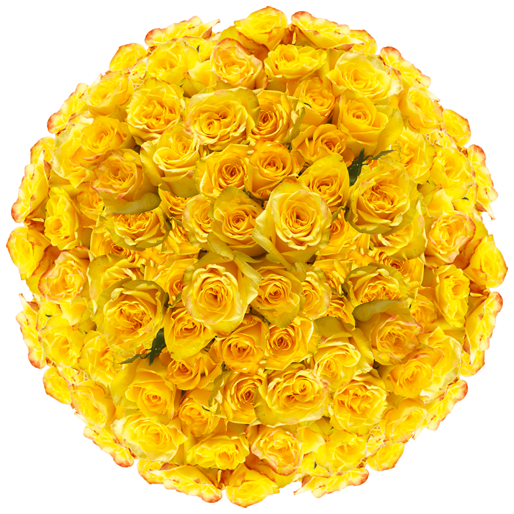 Best Deal On Mother's Day Flowers Yellow Roses