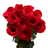 (HB) Rose Med Dozens Red For Delivery to Hurricane, West_Virginia