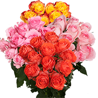 (HB) Rose Sht Dozens Assorted 16 Bunches For Delivery to Joliet, Illinois