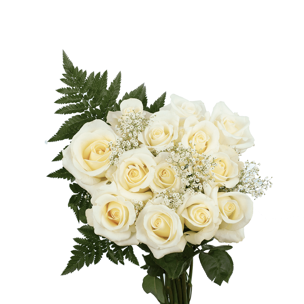 Best Dozens of Assorted Colored Roses with Fillers
