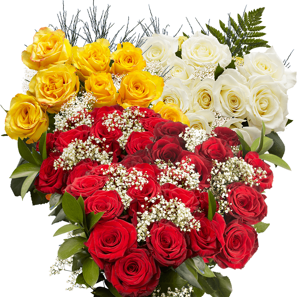Best Dozens of Red and Assorted Colors of Roses
