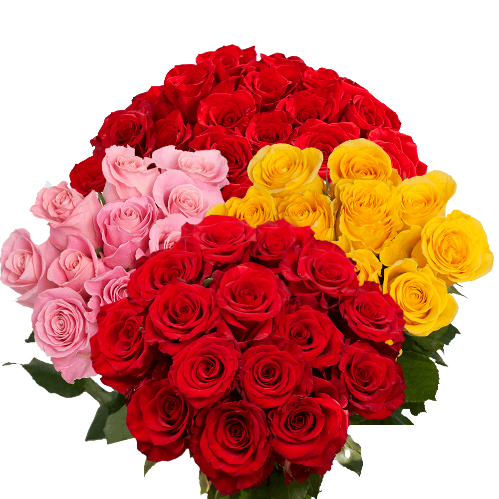 Choose Quantity and Color Roses