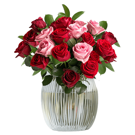 (BDx20) CP Royal Red and Pink Roses 6 Centerpieces