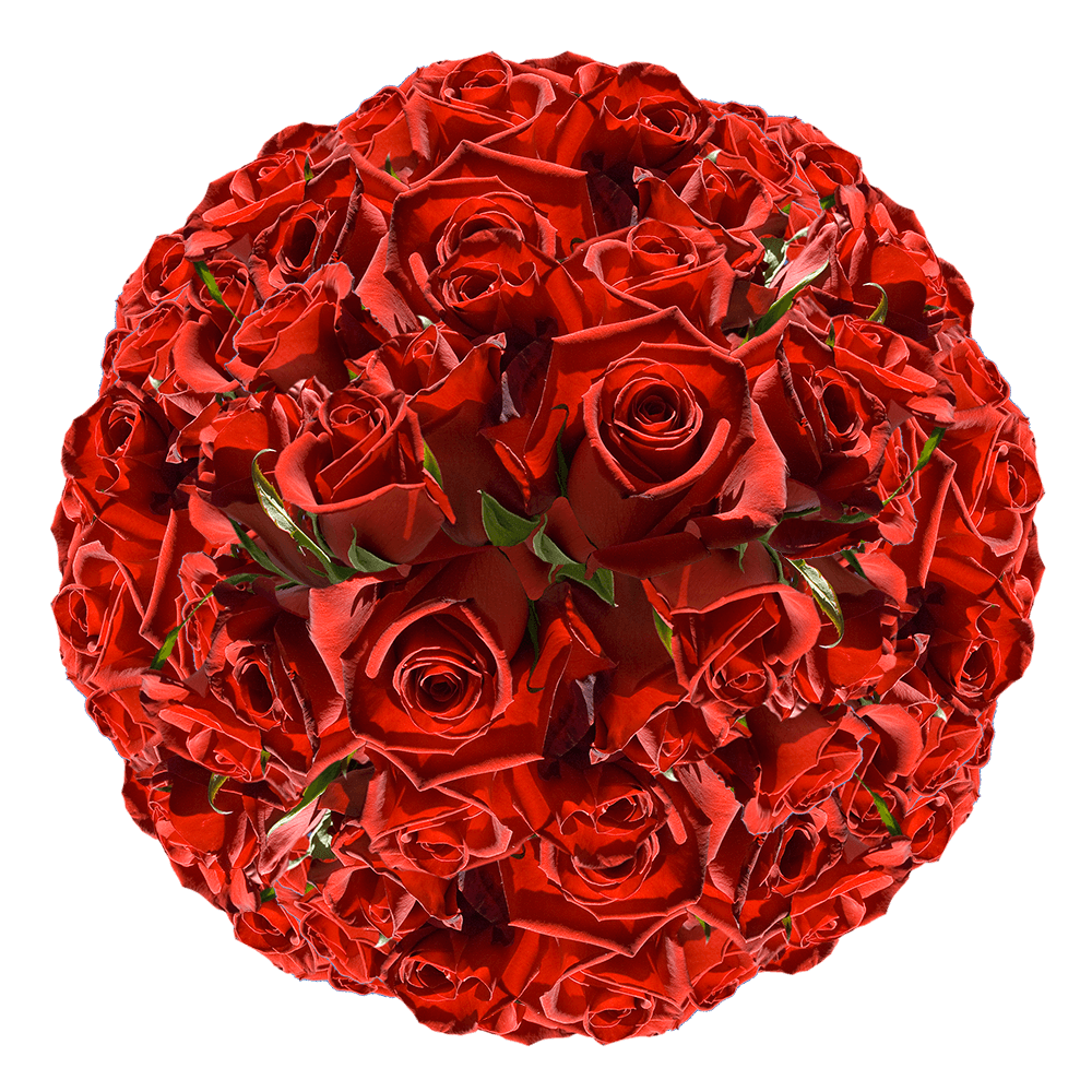 Best Red Roses Flowers