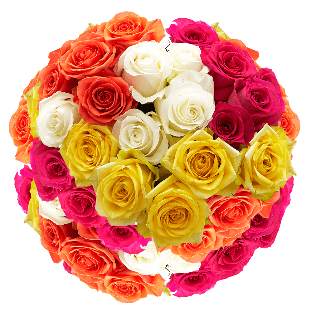 Choose Quantity and Color Roses