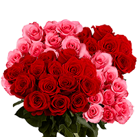 (QB) Rose Med DC: Red 2, Pink 2