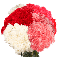 (OC) Carn Std Valentines Pack 4 Bunches For Delivery to Country_Club_Hills, Illinois