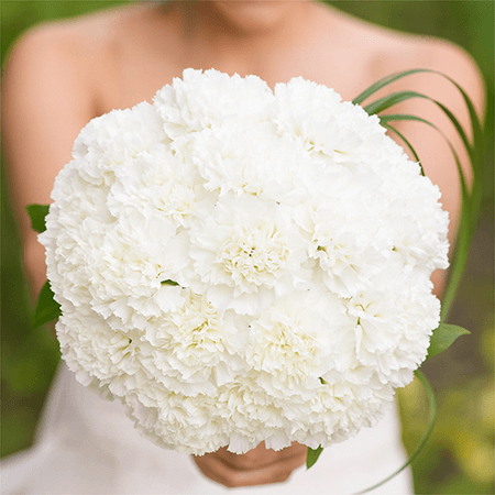 Bridal Bouquet with White Carnations