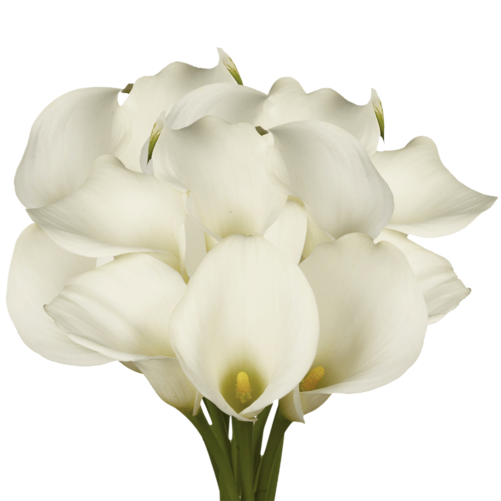 (QB) Calla Lilies White For Delivery to Norfolk, Virginia