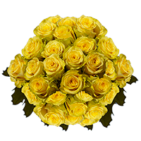 100 Stems of Light Yellow, Yokohama Roses