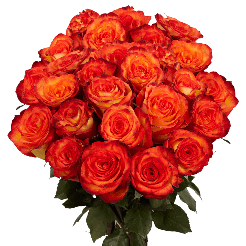 Best Yellow and Orange Rose Florist Online