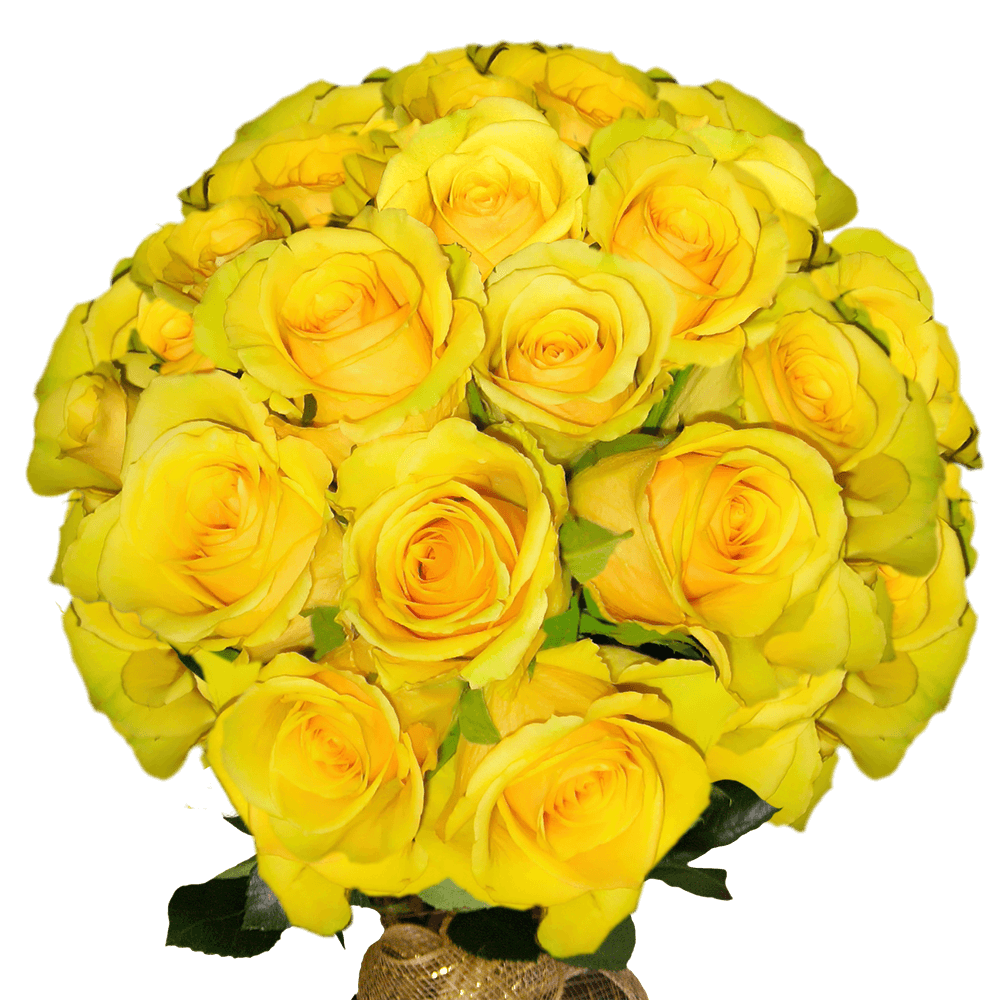 Best Yellow Long Stem Roses Live Flowers Shipped Free Find Roses