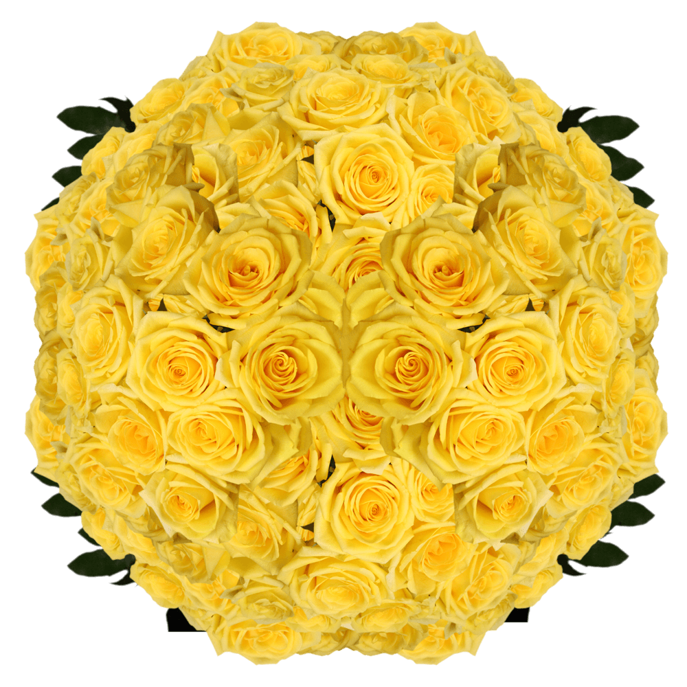 Best Yellow Roses