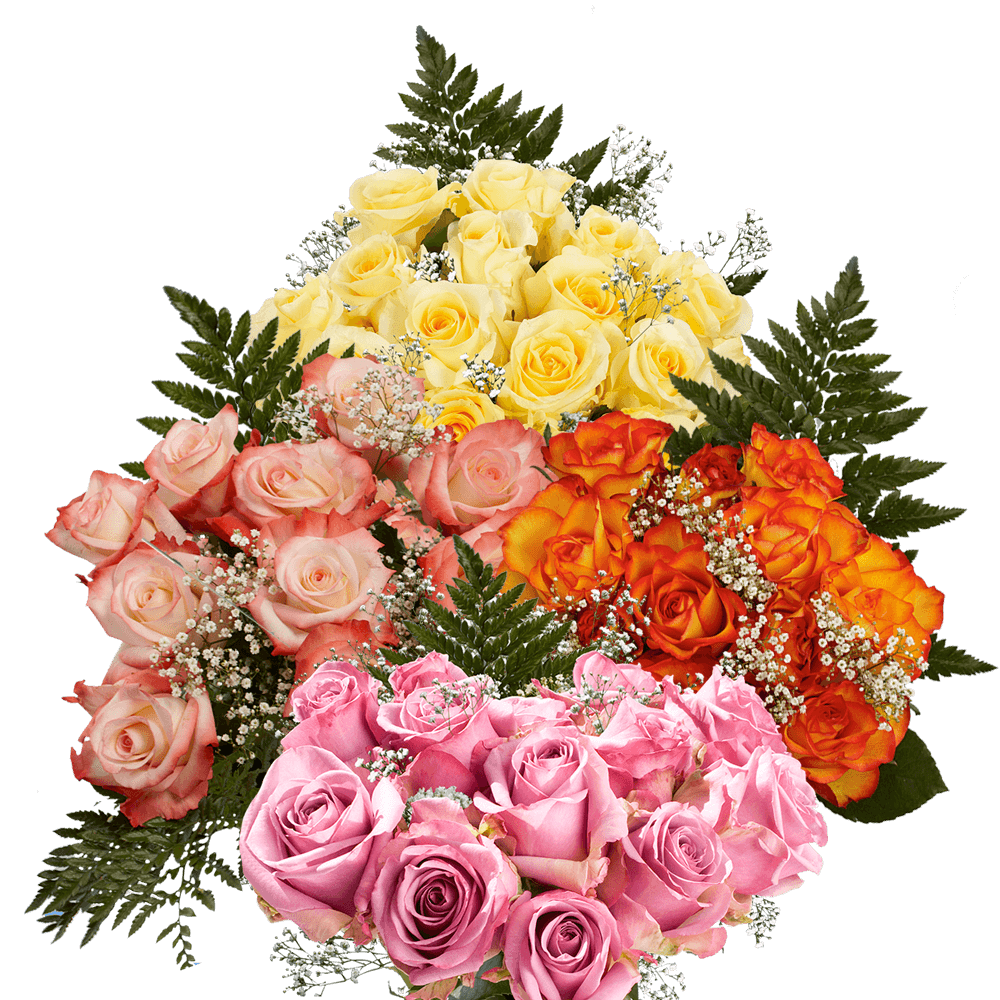 Best Your Choice of Dozen Color Roses with Fillers