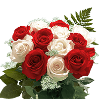 Choose Two Color Dozen Roses For Delivery to Canton, Georgia