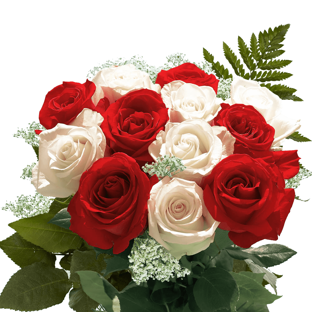 Choose Two Color Dozen Roses For Delivery to Merritt_Island, Florida