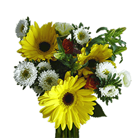 (OC) Delight Mixed Bqt 2 Bunches (16 stems) 2 Bouquets For Delivery to South_Lake_Tahoe, California