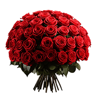 (OC) Rose Sht Red 2 Bunches For Delivery to Bowling_Green, Kentucky