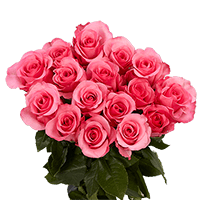 (OC) Roses Sht Pink 2 Bunches For Delivery to Asheboro, North_Carolina