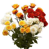 (QB) Spray Roses Med Assorted For Delivery to Ponca_City, Oklahoma