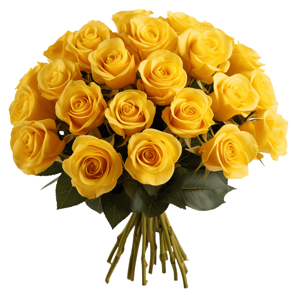 Birthday Yellow Rose