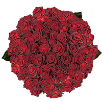 (HB) Rose Med Black Baccara For Delivery to Hobbs, New_Mexico