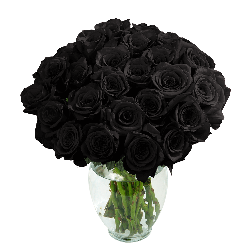 12 Black Roses with Black Glass Vase Filler – Absolutely Fabulous Styling  Items