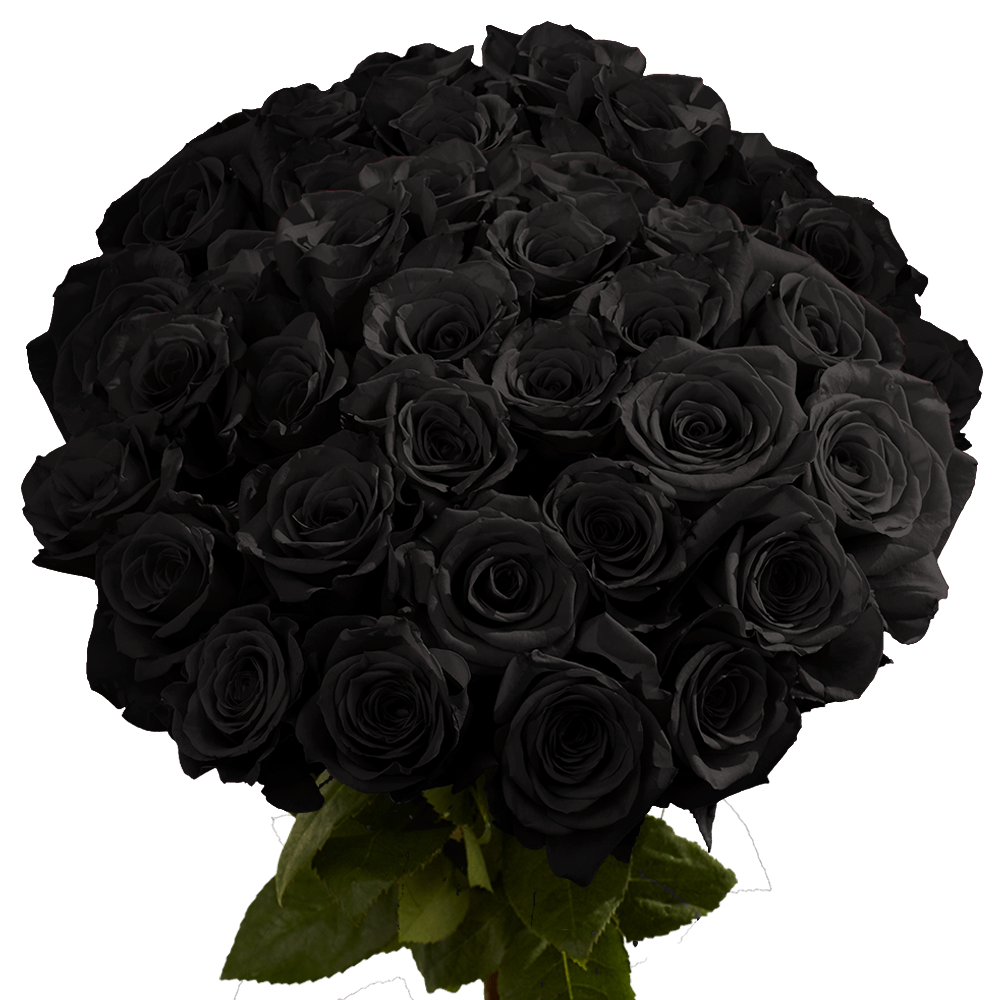 Black Roses Low Prices Online