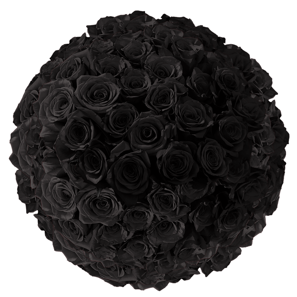 Black Roses Wholesale Flowers For Sale