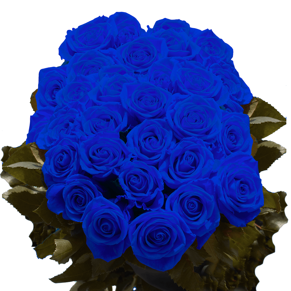 Blue Roses Low Prices Online