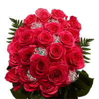 Qty of Two Dozen Roses For Delivery to Harrison, Arkansas