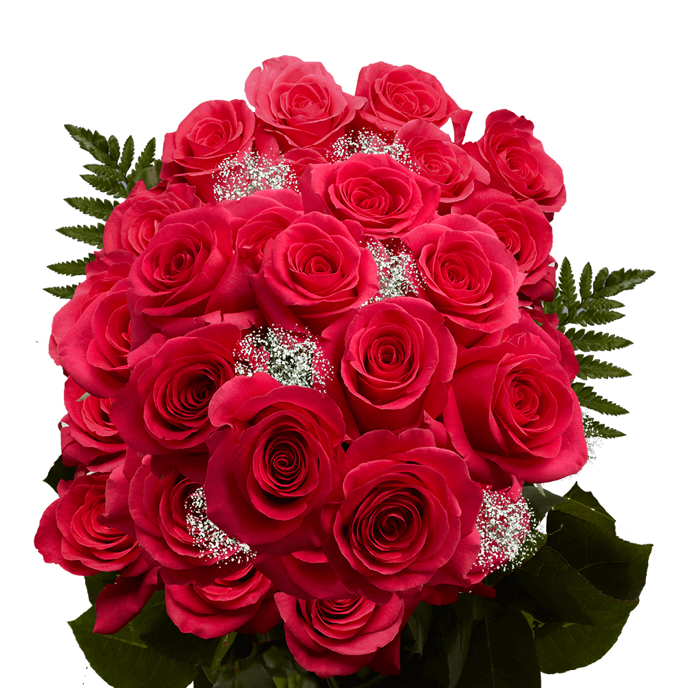 Qty of Two Dozen Roses For Delivery to Faqs.Html, Iowa