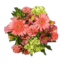 (OC) Send Lovely Arrangements 2