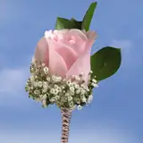 2-bt-rose-lightpink-RB-lightpink