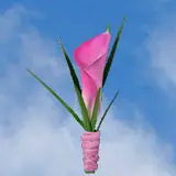 2-bt-minicalla-light-pink-RB-pink