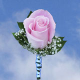 2-bt-rose-lightpink-RB-white