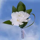 2-bt-carn-white-RB-white