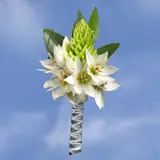 2-bt-star-of-bethlehem-RB-white