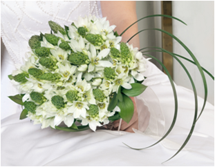 (DUO) Bridal Bqt Star Of Bethlehem 20 Stems