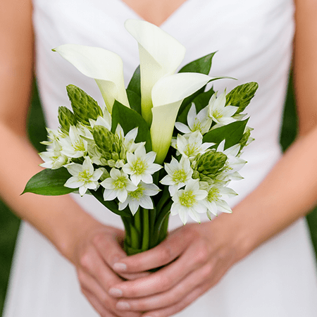 Calla Lily & Star of Bethlehem Bridesmaids Bouquets