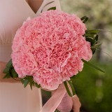 bridal-bouquet-pink-carnation-roses
