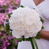 bridal-bouquet-white-carnation-roses