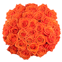 (QB) Rose Med Cayenne 100 Stems For Delivery to Murphy, North_Carolina