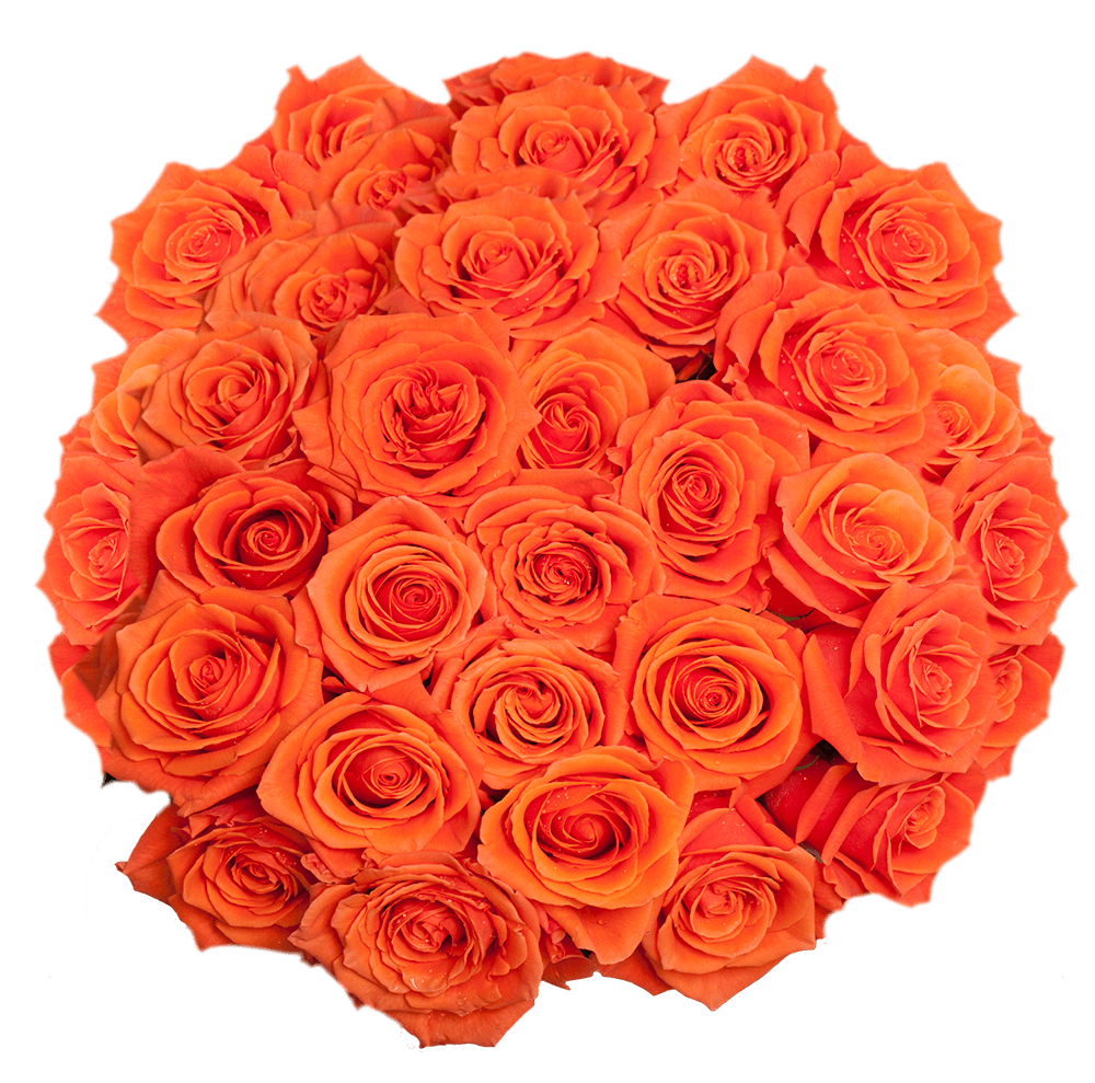 Bright Orange Cayenne Roses for Table Centerpieces