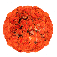 (HB) Rose Med Garota 200 Stems For Delivery to New_Rochelle, New_York