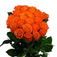 (QB) Rose Long Orange Crush [Inlude Flower Food] For Delivery to Statesville, North_Carolina