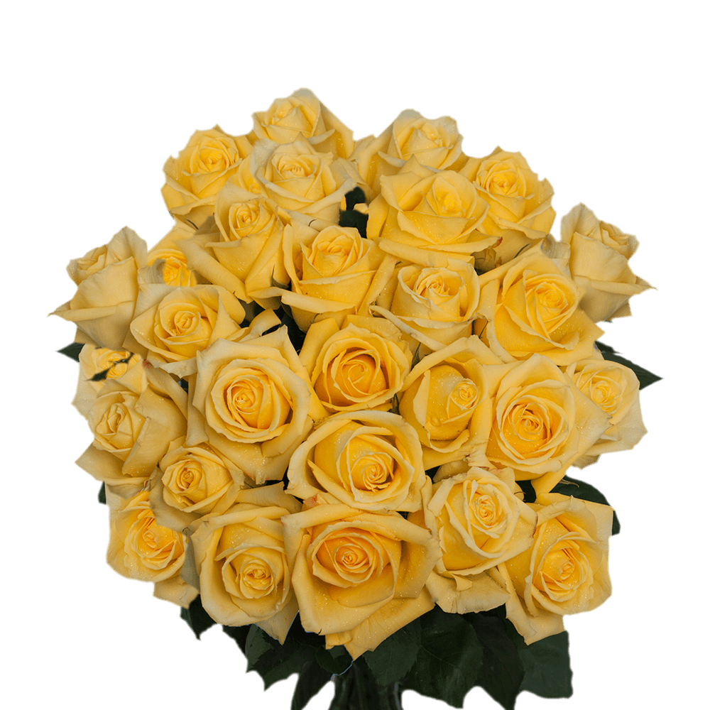Bright Yellow Roses Delivered for Free