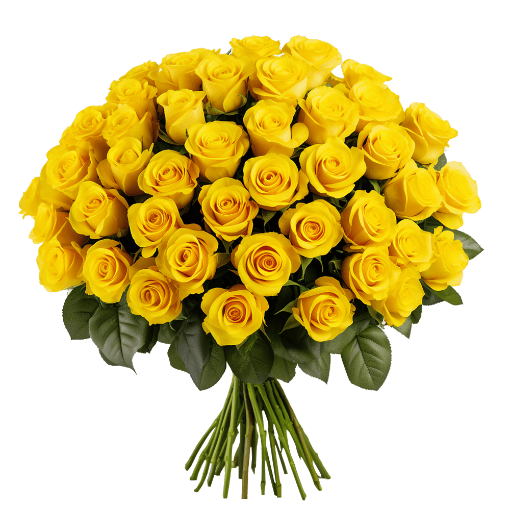 Qty of Valentines Day Yellow Roses For Delivery to Mechanicsville, Virginia