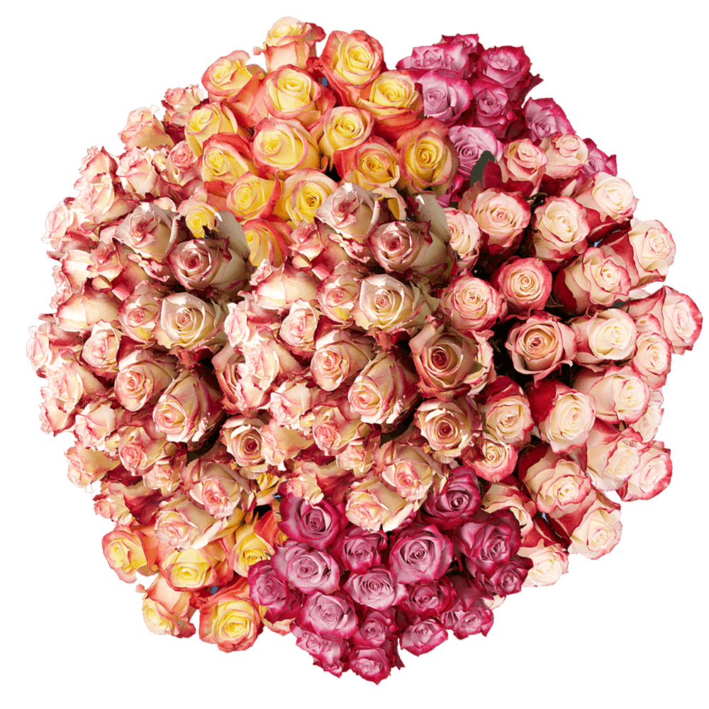 Bulk Multicolor Rose Flower Delivery